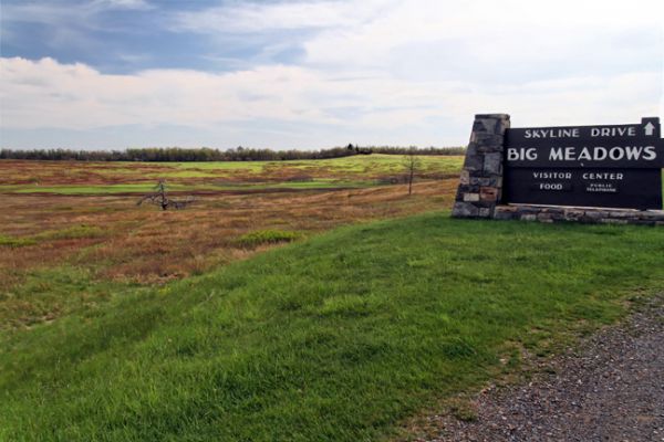 Skyline Drive, Big Meadows
