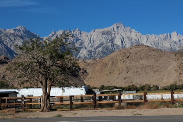 Lone Pine Mt Whitney
