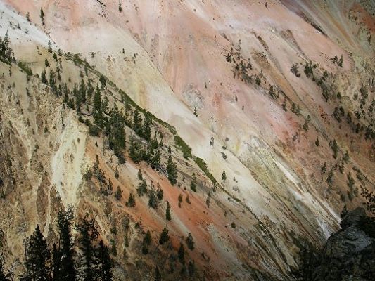 Grand Canyon of Yellowstone River
Die steilen Hänge der Schlucht sind vom "kitschigem", bobonfarbenem Schutt bedeckt, als wenn jemand einen Eimer mit Farbe ausgegossen hätte. Die Natur bringt unglaubliche Farbmischungen zustande!!
