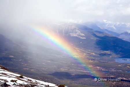 Regenbogen
