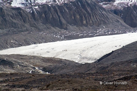 Columbia Icefield (weit)
