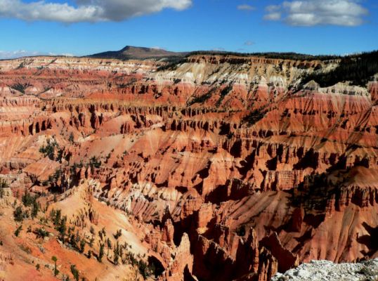 Cedar Breaks NP
Schlüsselwörter: Cedar Breaks