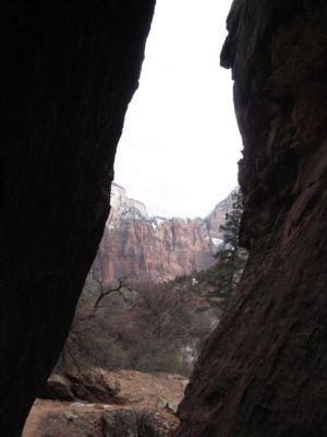 Feuer und Eis - Vegas 2008
Zion NP
