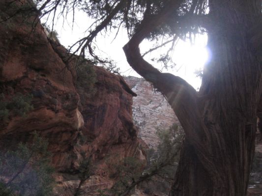 Feuer und Eis - Vegas 2008
Zion NP
