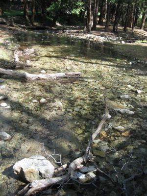 Yosemite NP
