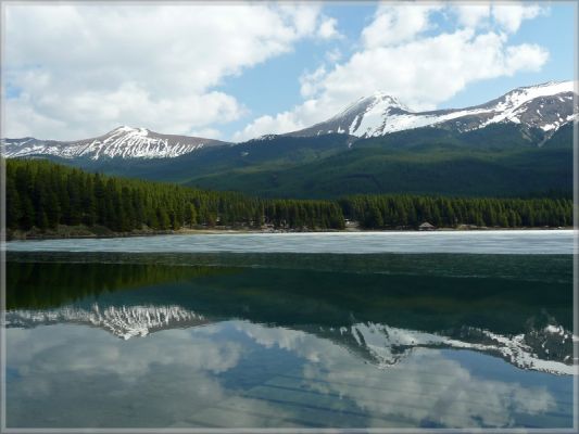 comp_109_Maligne_Lake_Moose_Lake_Trail_(1).jpg