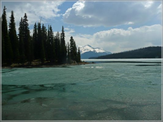 comp_130_Maligne_Lake_Mary_Schaeffer_Loop_(42).jpg