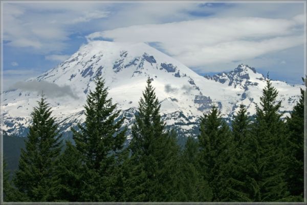 comp_379_Rainier_NP_Steven_Canyon_Road_(5).jpg