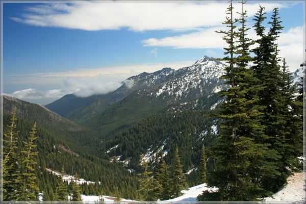 comp_441_Olympic_NP_Hurricane_Ridge_(35).jpg