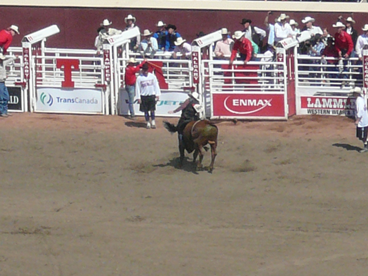 Calgary Stampede Rodeo
