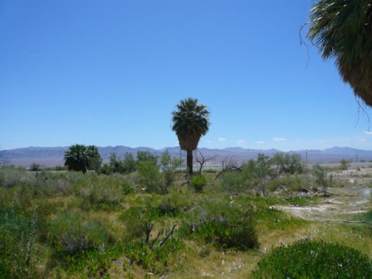 Lake Mead National Recreation Area
