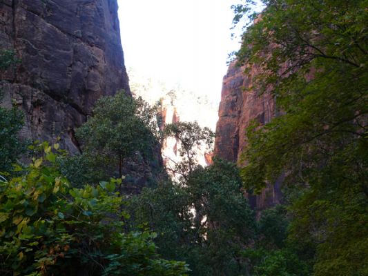 Zion NP (The Narrows)
