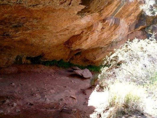 Zion NP
