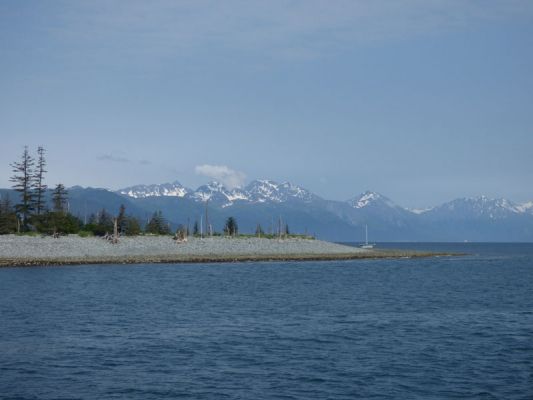 Whale Watching Major Marine Tours
