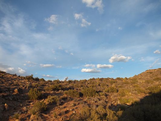 Joshua Tree NP
