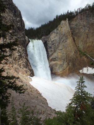 Yellowstone
