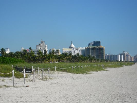 Miami Beach
