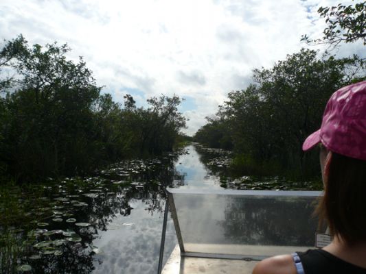 Everglades NP
