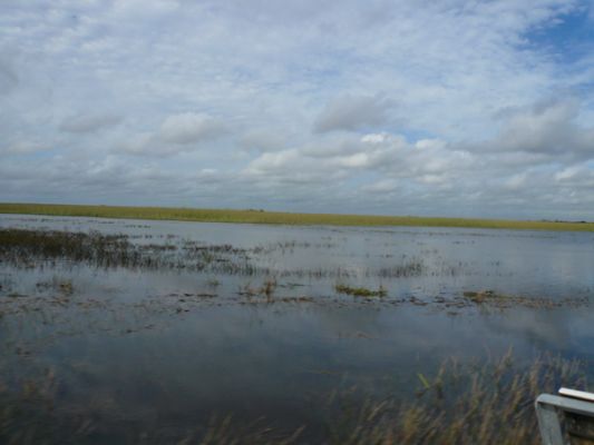 Everglades NP
