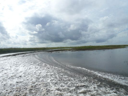 Everglades NP
