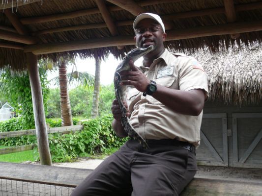 Gatorland
