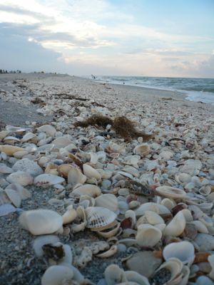 Sanibel Island
