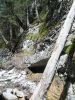 Grotto Canyon Trail