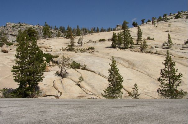 Yosemite NP
Yosemite NP
