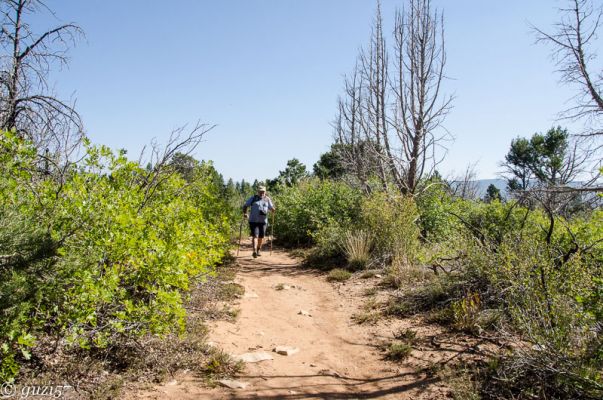 East Mesa Trail
