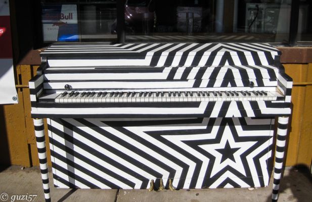 Zebrapiano
