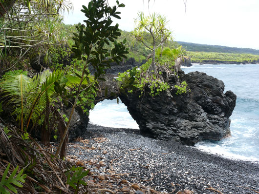 Maui Kahanu Garden
