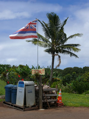 Maui Road to Hana
