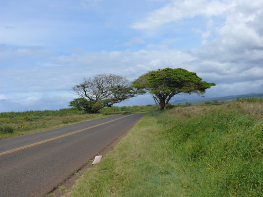 Maui Smith Street
